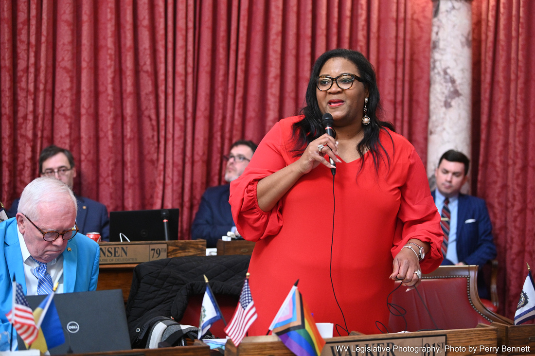 Danielle Walker Resigns From House of Delegates To Lead ACLUWV News